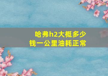 哈弗h2大概多少钱一公里油耗正常