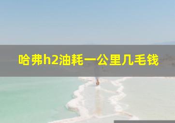 哈弗h2油耗一公里几毛钱