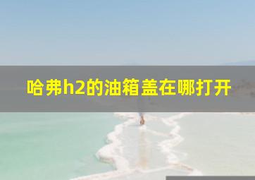 哈弗h2的油箱盖在哪打开