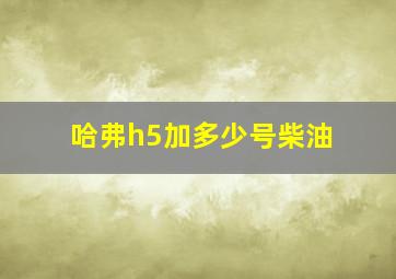 哈弗h5加多少号柴油