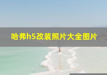 哈弗h5改装照片大全图片