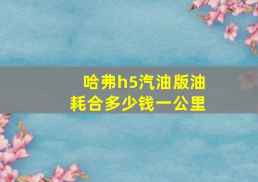 哈弗h5汽油版油耗合多少钱一公里