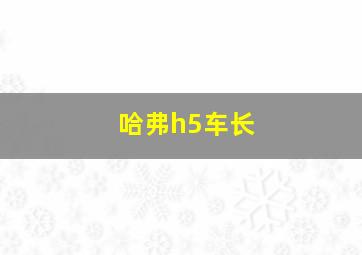 哈弗h5车长