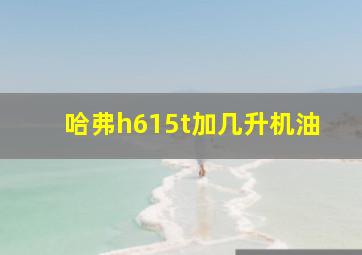 哈弗h615t加几升机油