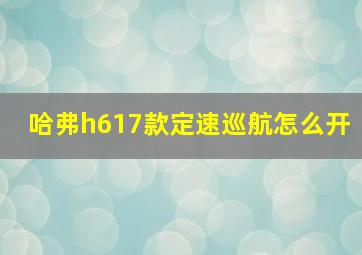 哈弗h617款定速巡航怎么开