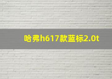 哈弗h617款蓝标2.0t