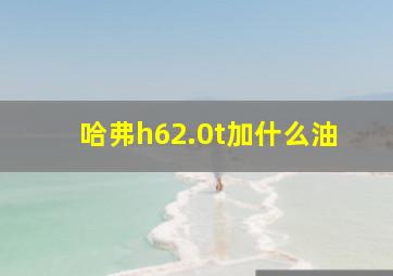 哈弗h62.0t加什么油