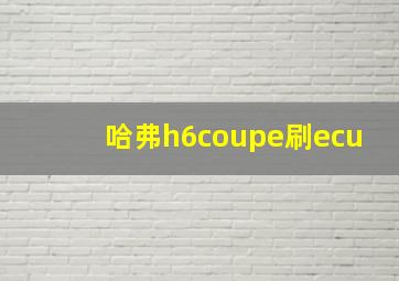 哈弗h6coupe刷ecu