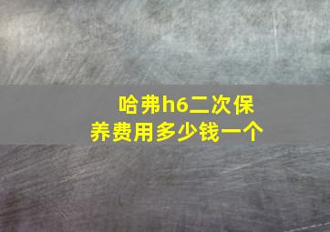 哈弗h6二次保养费用多少钱一个