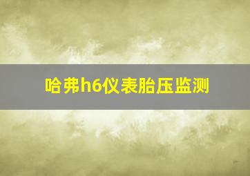 哈弗h6仪表胎压监测