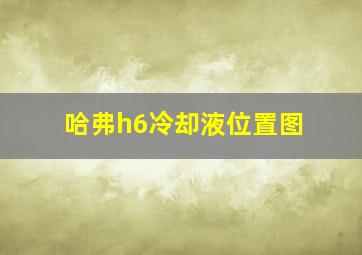 哈弗h6冷却液位置图