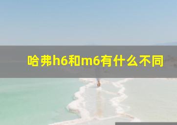 哈弗h6和m6有什么不同