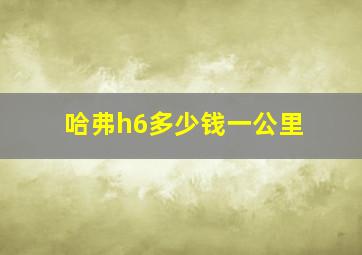 哈弗h6多少钱一公里