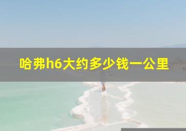 哈弗h6大约多少钱一公里