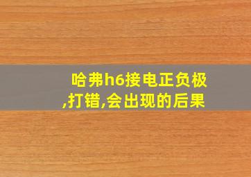 哈弗h6接电正负极,打错,会出现的后果