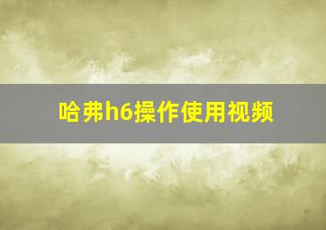 哈弗h6操作使用视频