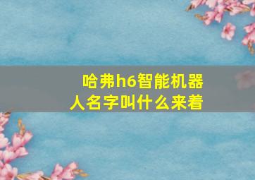 哈弗h6智能机器人名字叫什么来着