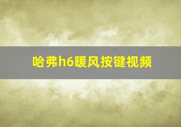 哈弗h6暖风按键视频