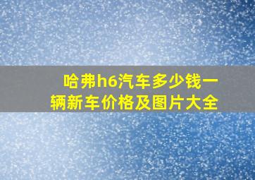 哈弗h6汽车多少钱一辆新车价格及图片大全