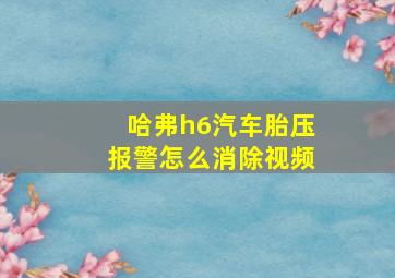 哈弗h6汽车胎压报警怎么消除视频