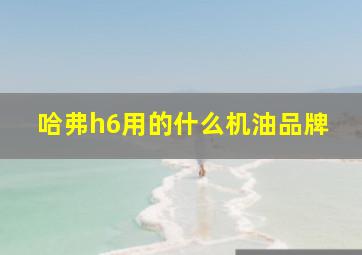 哈弗h6用的什么机油品牌