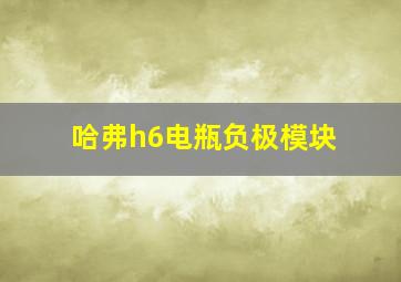 哈弗h6电瓶负极模块