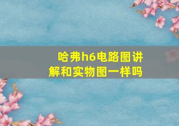 哈弗h6电路图讲解和实物图一样吗