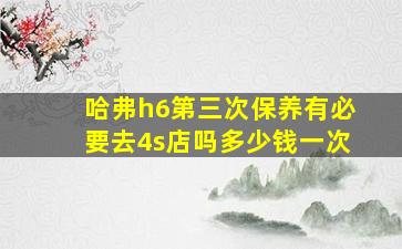 哈弗h6第三次保养有必要去4s店吗多少钱一次