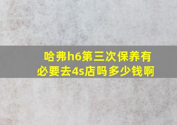 哈弗h6第三次保养有必要去4s店吗多少钱啊