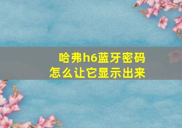 哈弗h6蓝牙密码怎么让它显示出来