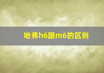 哈弗h6跟m6的区别