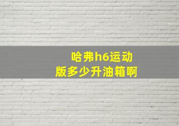 哈弗h6运动版多少升油箱啊