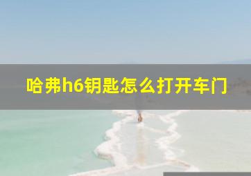 哈弗h6钥匙怎么打开车门