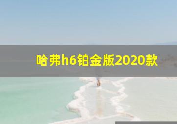 哈弗h6铂金版2020款