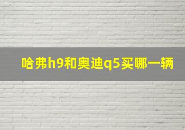 哈弗h9和奥迪q5买哪一辆