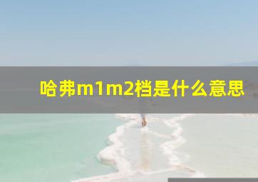 哈弗m1m2档是什么意思