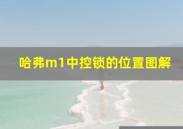 哈弗m1中控锁的位置图解