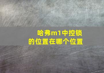 哈弗m1中控锁的位置在哪个位置