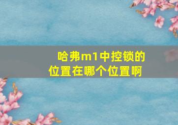 哈弗m1中控锁的位置在哪个位置啊