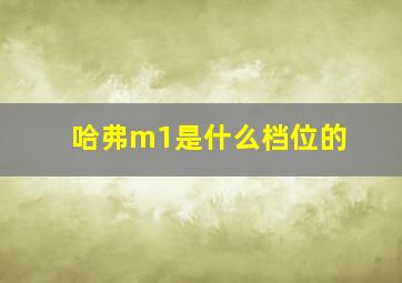 哈弗m1是什么档位的