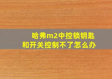 哈弗m2中控锁钥匙和开关控制不了怎么办