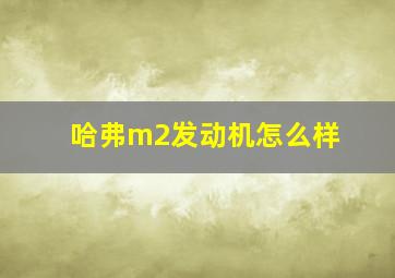 哈弗m2发动机怎么样