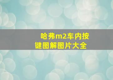 哈弗m2车内按键图解图片大全