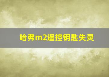 哈弗m2遥控钥匙失灵