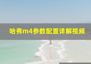 哈弗m4参数配置详解视频