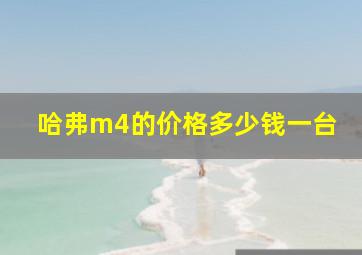 哈弗m4的价格多少钱一台