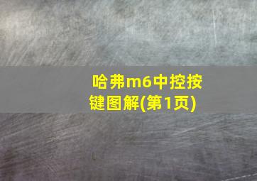 哈弗m6中控按键图解(第1页)