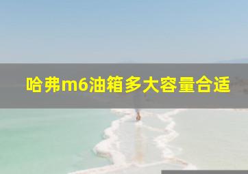 哈弗m6油箱多大容量合适