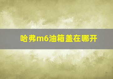 哈弗m6油箱盖在哪开