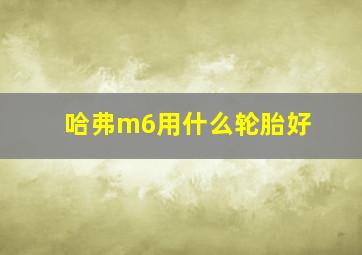 哈弗m6用什么轮胎好